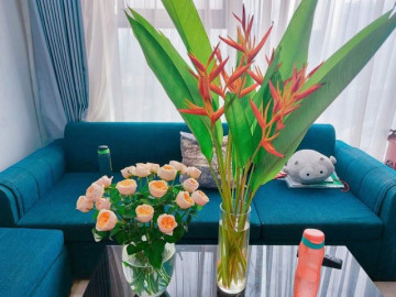 Liều mua nhà với 30 triệu đồng tiết kiệm, vợ chồng trẻ trả hết nợ sau 5 năm