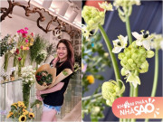 Nhà đẹp - Nữ ca sĩ ở nhà 6 tỷ cắm loài hoa có tên cực cao sang, thú nhận toàn chơi "bộ môn tốn tiền"