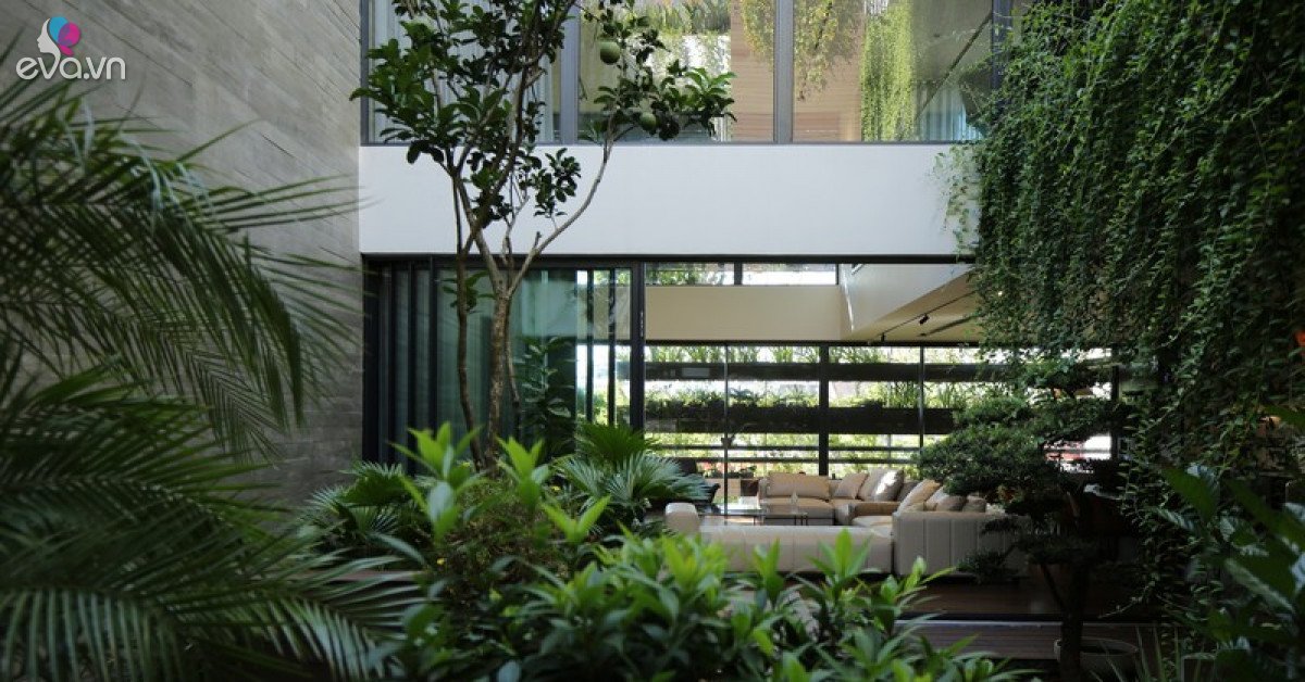 Gallery - Giảm tiếng ồn hiệu quả, nhà Việt làm "nức lòng” báo Mỹ