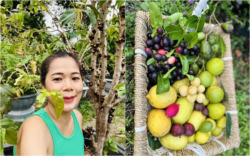 Mới đây, Mỹ Lệ mượn câu thơ: "Vườn ai mướt quá xanh như ngọc/ Lá trúc che ngang mặt chữ điền" khi khoe ảnh về khu vườn đầy hoa trái của mình.
