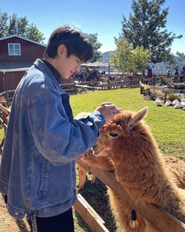 View - Quý tử Hồng Diễm nói 4 thứ tiếng, bị nhầm là trai Thái vì quá đẹp nhưng từng tự ti ngoại hình