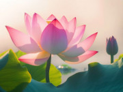 Eva tám - Thoáng nhìn 3 điều này, nhận biết ngay người tử tế thực sự