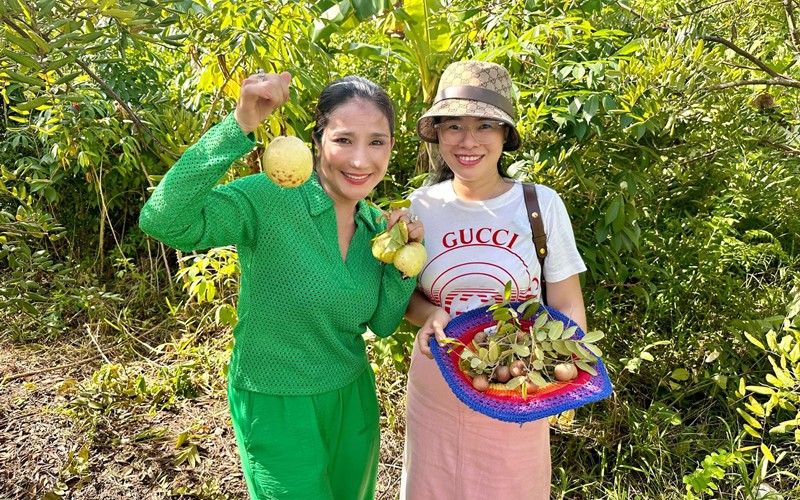 Cô tiết lộ thêm: "Lão gia tui quyết cải tổ vườn trong vòng 2 tháng. Sẽ có nhà chòi, có ao, cây cối phải vào vị trí trật tự chuẩn bị đón Tết nha, kaka".
