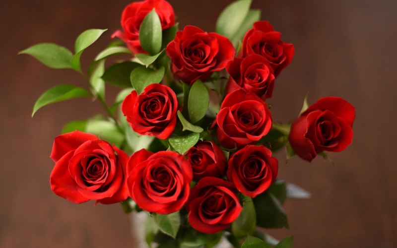 3. Hoa hồng

Không những là biểu tượng của tình yêu, hạnh phúc gia đình, trưng hoa hồng trên bàn thờ còn đem lại may mắn lâu dài cho gia chủ, ngụ ý cầu mong làm ăn phát đạt, tài lộc dồi dào.
