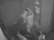 Clip Eva - Clip: Bị tấn công, người phụ nữ đánh nhau với tên cướp và cái kết