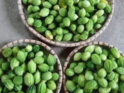 Tin tức - Loại quả dại xưa chín rụng vứt đi, nay thành đặc sản nổi tiếng giá 250.000 đồng/kg, dân thành phố "săn lùng"