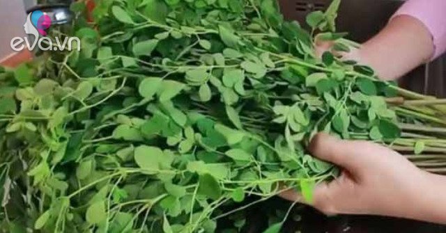 View - Cây này thường bị nhầm là rau ngót, canxi gấp 4 lần sữa, nấu món gì cũng ngon và bổ