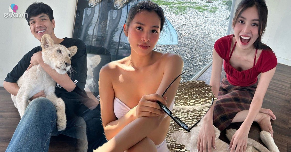 View - Tiểu Vy tung ảnh bikini giữa nghi vấn hẹn hò, được khen có vòng 3 đẹp nhất lịch sử hoa hậu