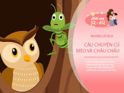 Nuôi con IQ EQ - Truyện cổ tích song ngữ: Cú mèo và châu chấu