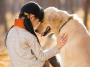 Lifestyle - Tại sao nói “một con chó không thể nuôi quá 10 năm”? Nghe lý do nhiều người đồng tình