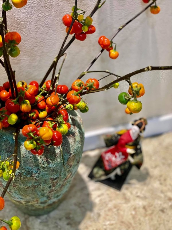 View - Trend cắm cành quả mini độc lạ: Vừa xuất hiện trên thị trường đã làm mưa làm gió, có người chi tiền mua một lần chục bó