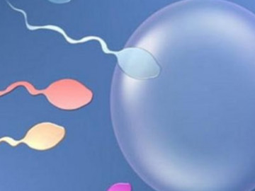 3 bài thuốc hỗ trợ điều trị vô sinh do tinh dịch đông đặc