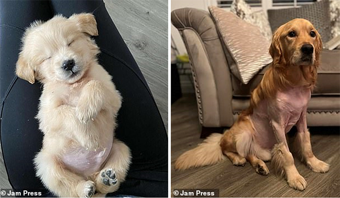 img src/upload/3-2023/images/2023-08-17/1692246342-i-418b3c3a4508f9e7-1692173081-885-width634height493.jpg width660 /