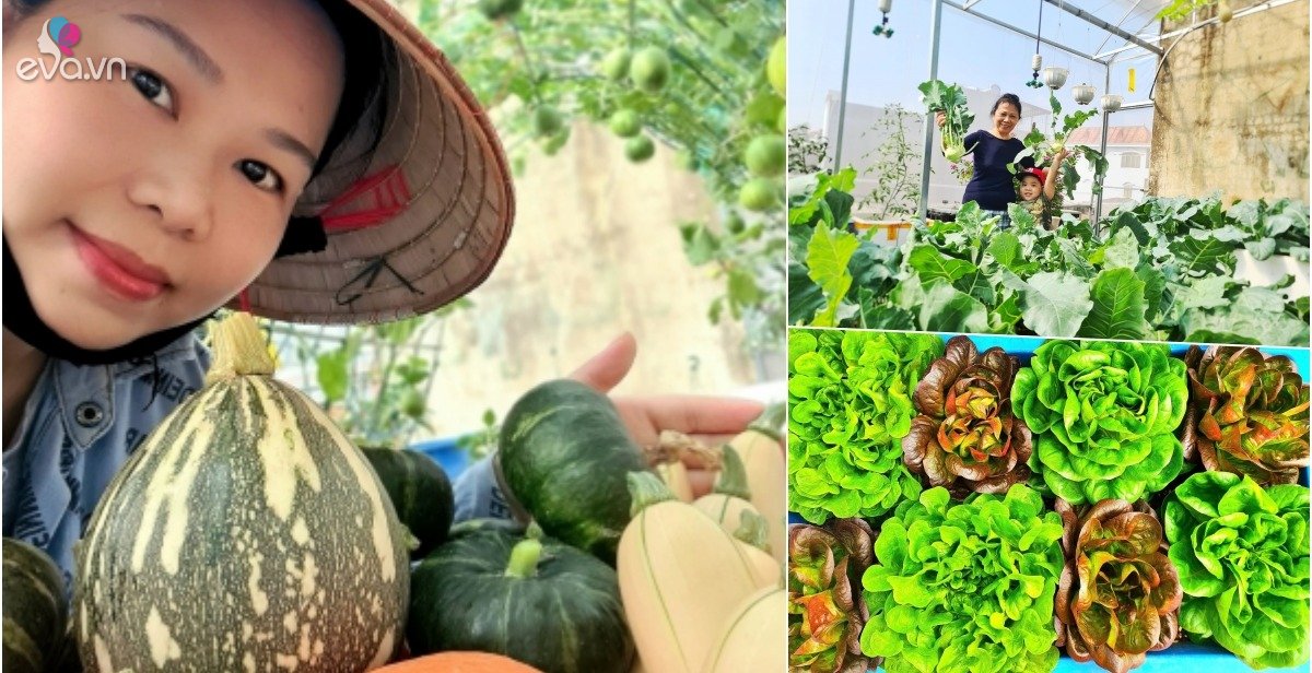 View - Khuân rác lên sân thượng trồng rau, mẹ đảm có khu vườn xanh mướt mắt, quả treo lúc lỉu đủ màu sắc