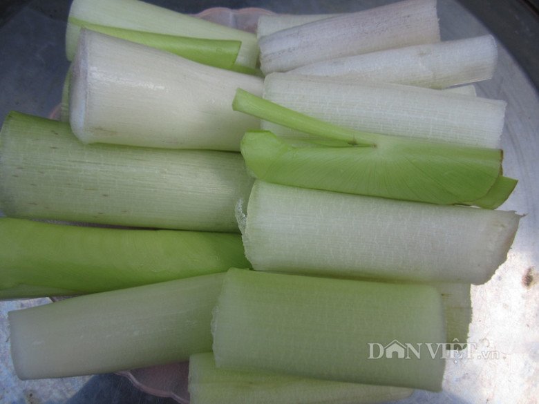 Loại rau mọc dại xưa nhổ vứt đi, nay amp;#34;đổi đờiamp;#34; thành đặc sản ngon nổi tiếng, đặt trước mới mua được - 3