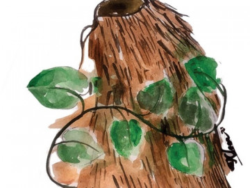 Nghĩa của từ "nghèo rớt mồng tơi": Nghe "mồng tơi" tưởng một loại rau, thực chất nó lại có nghĩa hoàn toàn khác