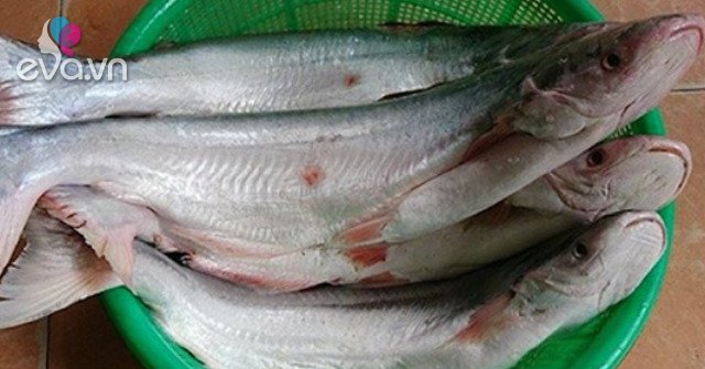 View - Loại cá đại gia giá 500.000 đồng/kg, rất ngon và hiếm, là đặc sản Nam Bộ