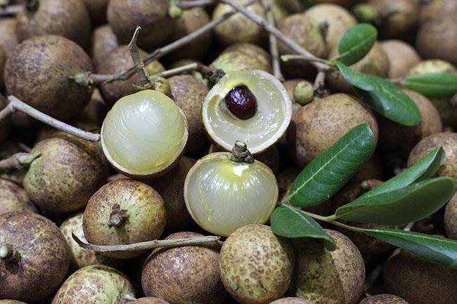 View - Cũng là nhãn nhưng lại có giá lên đến 200.000 đồng/kg, chị em đi chợ thấy thì nên mua ngay, đắt xắt ra miếng