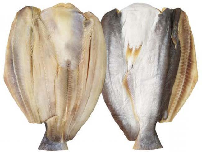 View - Loại cá đại gia giá 500.000 đồng/kg, rất ngon và hiếm, là đặc sản Nam Bộ