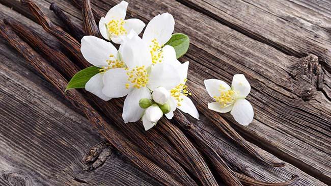 View - Việt Nam trồng thành công "siêu” hương liệu cho nhiều món ăn, giá bán lên tới 20 triệu đồng/kg