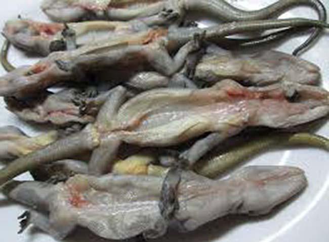 View - "Lộc trời” ở núi Bà đen bò ra từ trong hang đá, dân bắt về phơi khô thành đặc sản, giá 1,5 triệu đồng/kg vẫn khó mua