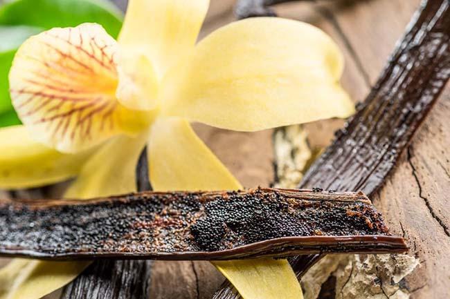 View - Việt Nam trồng thành công "siêu” hương liệu cho nhiều món ăn, giá bán lên tới 20 triệu đồng/kg