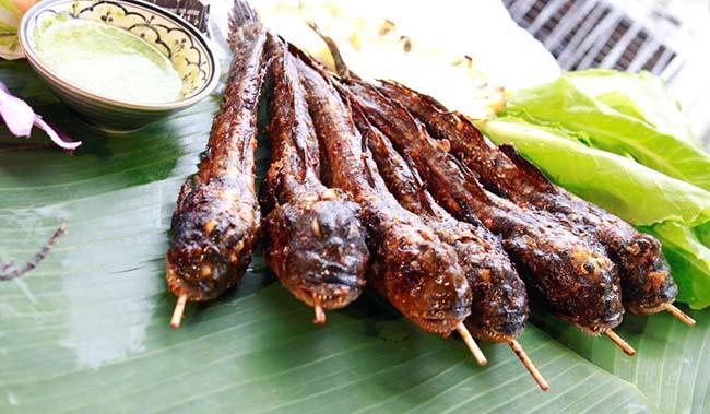 View - Loài cá biết leo cây và "chạy bộ”, thịt rất ngon, là đặc sản trứ danh Thanh Hóa, giá 200.000 đồng/kg