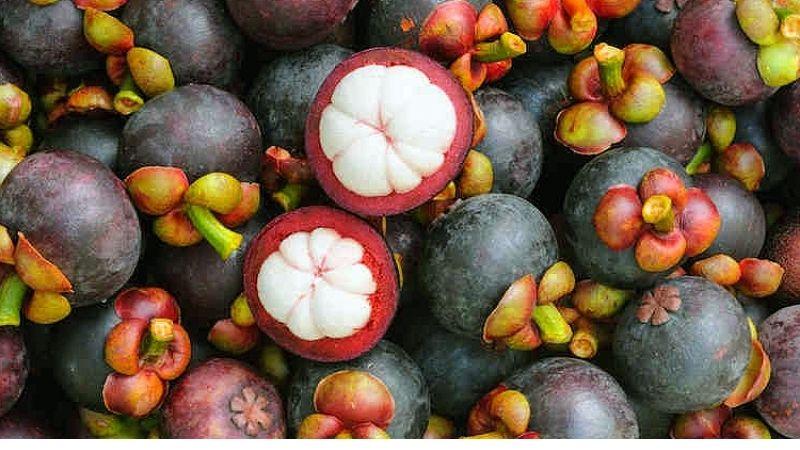 View - Từng có giá 500.000 đồng/kg quả xanh, là nguyên liệu làm món gỏi gà HOT khắp MXH, giờ đang vào chính vụ