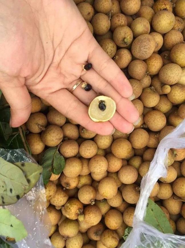 View - Cũng là nhãn nhưng lại có giá lên đến 200.000 đồng/kg, chị em đi chợ thấy thì nên mua ngay, đắt xắt ra miếng