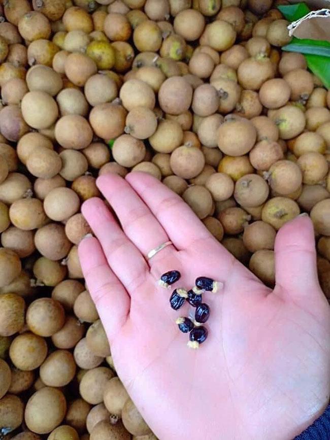 View - Cũng là nhãn nhưng lại có giá lên đến 200.000 đồng/kg, chị em đi chợ thấy thì nên mua ngay, đắt xắt ra miếng