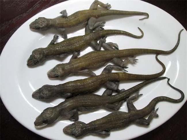 View - "Lộc trời” ở núi Bà đen bò ra từ trong hang đá, dân bắt về phơi khô thành đặc sản, giá 1,5 triệu đồng/kg vẫn khó mua