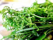 Lifestyle - Được ví “rau trường sinh” là hàng HOT của thương lái Trung Quốc, ít người biết đến để ăn, có giá 200.000 đồng/kg