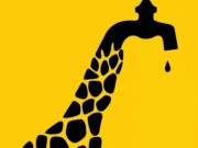 Eva tám - Trắc nghiệm tâm lý: Bạn đã nhìn thấy gì đầu tiên?