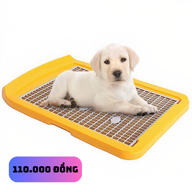 Bỏ túi ngay 7 món đồ có thể giúp amp;#34;bossamp;#34; nhà bạn luôn thơm tho, sạch sẽ, có món chỉ 60 ngàn - 7