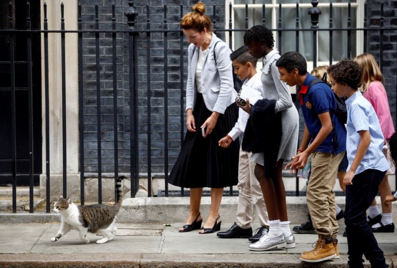 View - Gặp gỡ chú mèo "quyền lực” nhất nước Anh, 12 năm làm việc cho chính phủ, thường xuyên tiếp đón chính trị gia