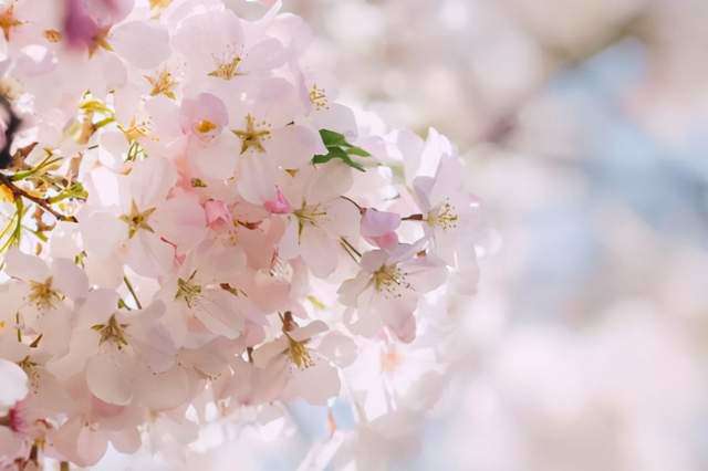 Ở bên đúng người thực sự rất quan trọng - 2