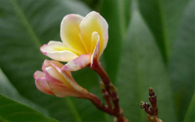 4 điều báo trước sự thịnh vượng - 3