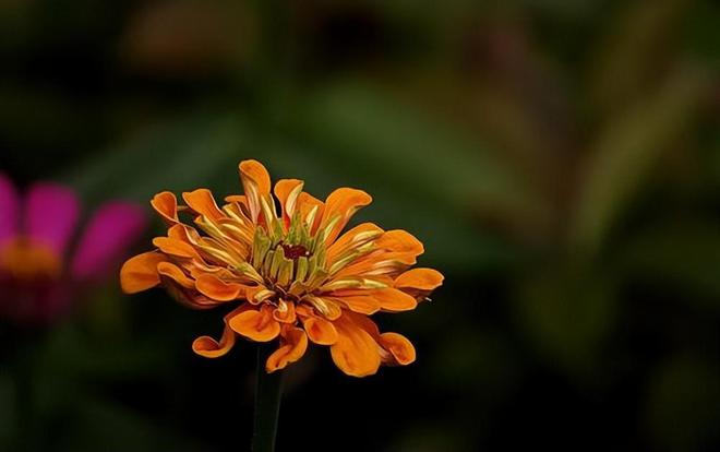 4 điều báo trước sự thịnh vượng - 4