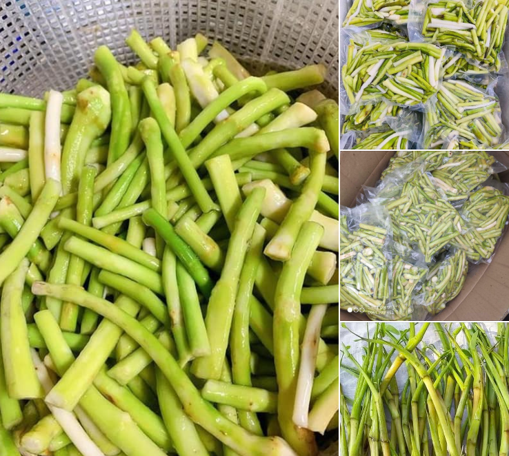 Ngó khoai thành đặc sản lạ, bán đắt hàng ở thành phố