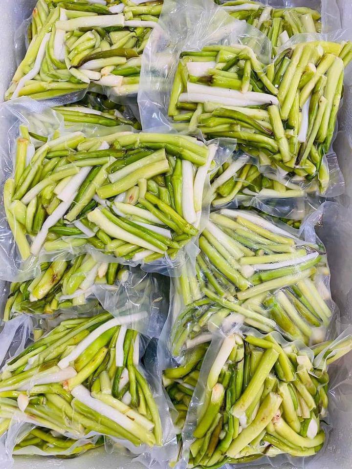 Ngó khoai được đóng trong túi zip khi bán ở thành phố, khách chỉ cần rửa sạch là có thể mang đi chế biến, rất nhanh và tiện lợi