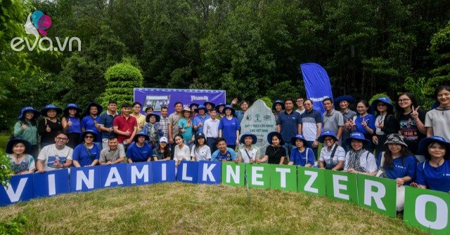 Đẩy mạnh dự án “Cánh rừng Net Zero”, Vinamilk khoanh nuôi tái sinh 25ha rừng ngập mặn Cà Mau - 5