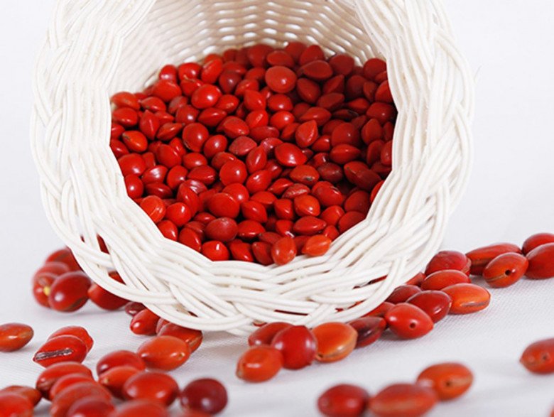 Hạt hồng đậu tương tư khác với đậu đỏ được dùng để nấu chè