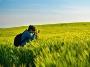 Eva tám - Có nhiều cách để làm giàu nhưng trình tự này nhất định không thể đảo ngược