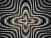 Eva tám - Trắc nghiệm tâm lý: Bạn thấy con vật nào trong bức hình này?