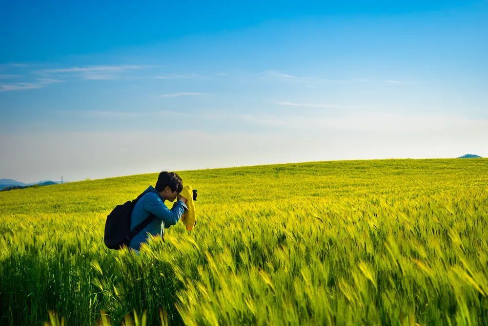 Có nhiều cách để làm giàu nhưng trình tự này nhất định không thể đảo ngược - 1