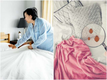 Người thông minh không gấp chăn sau khi ngủ dậy, nghe lý do tôi mới biết lâu nay toàn làm sai