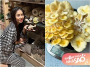 Nhà đẹp - Lê Phương tập làm nông dân tại gia, nửa đêm mệt mỏi đi về thấy nấm mọc trong nhà