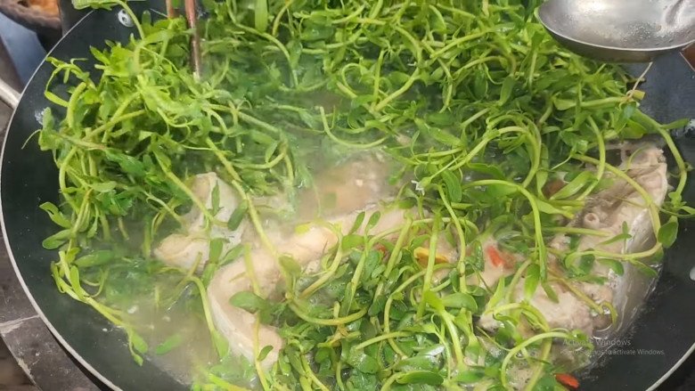 View - Cây hay bị nhầm là rau sam, đắng ngắt nhưng là kho vitamin C, nấu với con này được món đặc sản