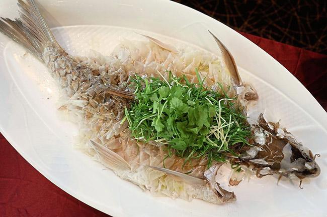 View - Cá được mệnh danh là "vong bất liễu ngư” có giá 10 triệu đồng/kg, sống môi trường rất đặc biệt