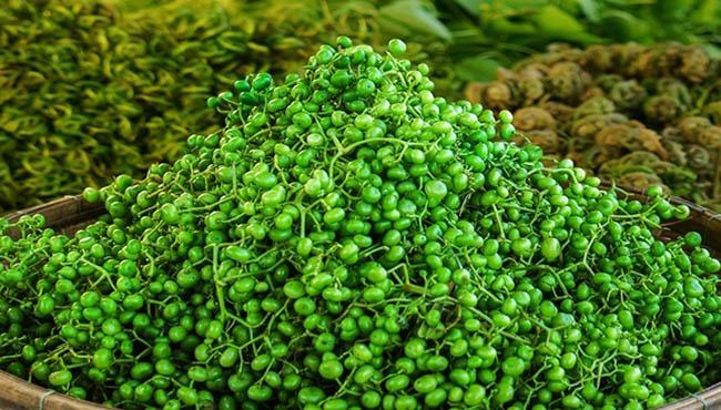 View - Loại quả dại trước rụng đầy không ai ăn, giờ là "mỏ vàng” được săn lùng, giá bán 60.000 đ/kg